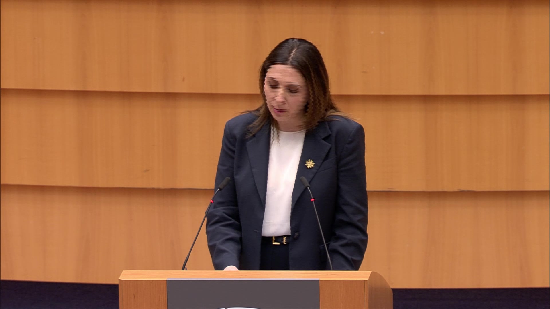Energy security, independence and supply in the geopolitical context: opening statements by Marilena RAOUNA, Cypriot Deputy Minister for European Affairs and Dan JØRGENSEN, European Commissioner for Energy and Housing